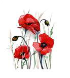 Red Poppies Bits