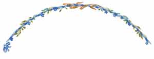 Blue Plate Border with Flowers/Leaves