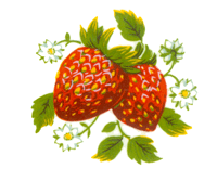 Fruit Strawberry Strawberries