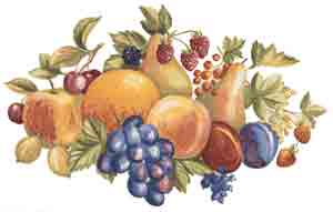 Fruit Harvest - Apples, Pears, Berries, Grapes, Cherries