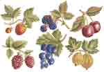 Fruit Harvest - Cherries, Blueberries, Strawberries, Gooseberries, Raspberries