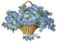 Forget-Me-Nots Floral in Basket