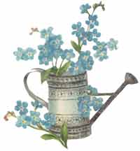 Forget-Me-Nots Blue Flowers in a Watering Can