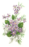 Violets with Ribbon