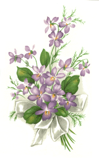 Violets with Ribbon