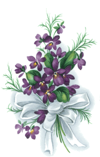 Violets with Ribbon