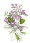 Violets with Ribbon