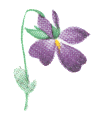 Violets with Ribbon