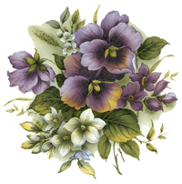 Pansy Pansies-Purple Flowers