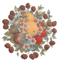 Fruit - Pears, Oranges, Raspberries