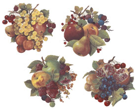 Fruit - strawberries, grapes, pears, peaches, pomegranate