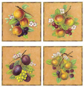 Pear, Plums, Apples, Blackberries, Cherries, Peaches, Grapes Set of 4