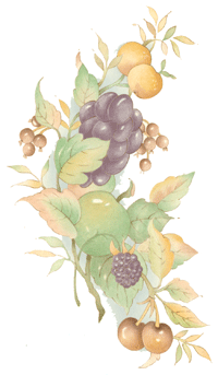 Grapes, Cherries, Blackberries