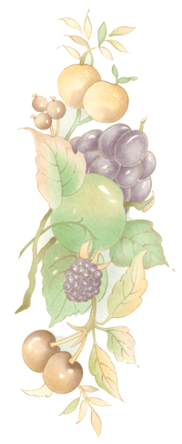 Grapes, Cherries, Blackberries