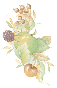 Cherries, Blackberries, Apple