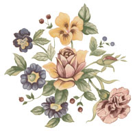 Summerfields Flowers - Rose, Pansies, Carnation