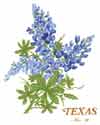 Texas Blue Bouquet Bits