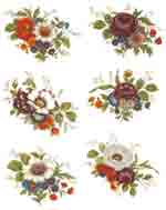 Meissen Style Flowers - 6 PC SET