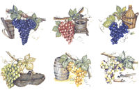 Grapes & Fruit