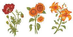 Sunflower, Poppy, Day Lily