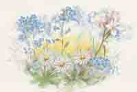 Spring Morning - Daisies, Blue Flowers