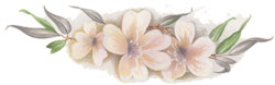 Oriana - Pink and White Pastel Flowers