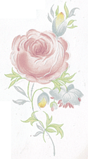 Bridal Floral - pink rose