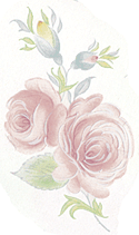 Bridal Floral - pink rose