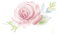 Bridal Floral - pink rose