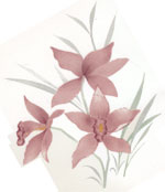 Mi Lay Mauve/Pink Orchids