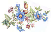 BLUE FLORAL AND ROSE HIP