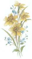 March - Flowers of the Month - Daffodils