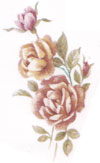 June - Flowers of the Month - Roses