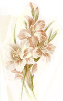 August - Flowers of the Month - Gladiolas