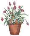 Brown Flower Pot with Pink Tulips