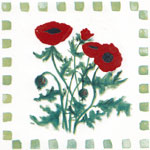 Poppies