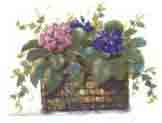 Basket of Violets and Ivy